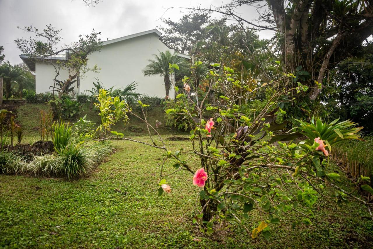 Vista Lago Arenal Piedras エクステリア 写真