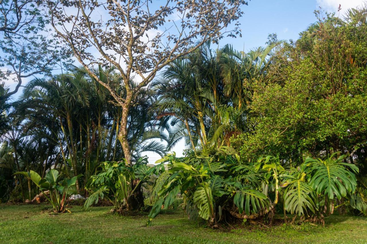 Vista Lago Arenal Piedras エクステリア 写真