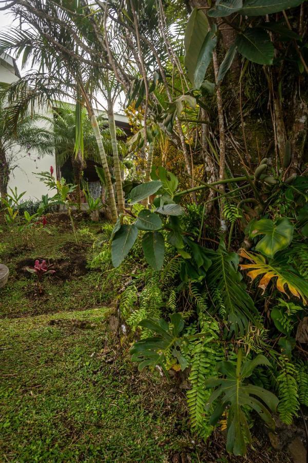 Vista Lago Arenal Piedras エクステリア 写真